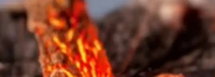 <h1>Algemene voorwaarden</h1>